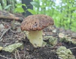 7b8b630a-3120-4add-b608-7bca55a389bc