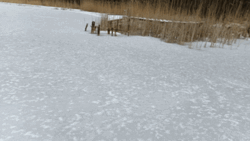 ed9e1a4c-96b5-42ea-ad4a-4d9f03e21d10