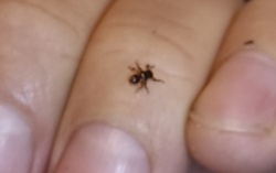 d1a4c6b3-673c-49ce-b24b-0c61cc665822