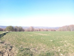 30338bd0-c26b-4b16-8ab6-f78a8c76fc9c