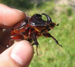 632750ff-76cb-47d7-b5c0-21aea4b0a0dc