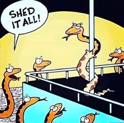 989a57d7-98d1-4c50-9b42-d10658386b11