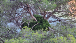 c6000cdf-2de5-47f6-adf6-e5e348e7e3e1