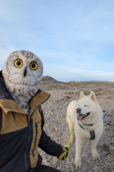 d7ab4227-9b26-4732-8694-f62f48119d84