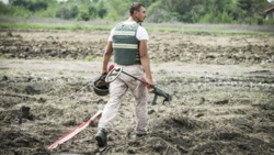 Chorwacja wreszcie wolna od min. W ciągu blisko 30 lat usunięto setki tysięcy niewybuchów