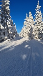 10da942a-2745-4826-8d21-4edcb3d677ad