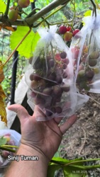 d9f42b8d-8590-4823-adde-41f7fcca5940