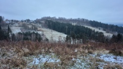 df3f2f5e-aea5-46e2-ab51-b323956861bd