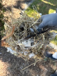 c45be826-83dc-4aea-a6b3-194af8fe1c76