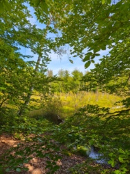 11d94b61-d251-4e8d-b185-b36cb4144834