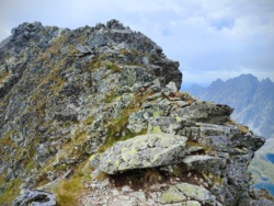 42e3f177-c9dd-44ed-ba15-f5447fe1cd72