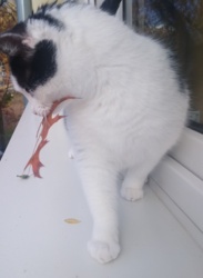 e7acbba9-3421-4d53-976f-aba6251ff21d