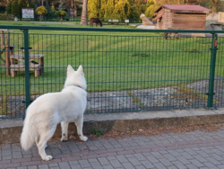 46a9e33d-b8bf-4009-8498-66d91fc15f07