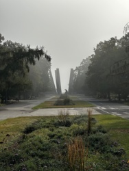 e8580a72-107d-46ed-8211-9e902d259369