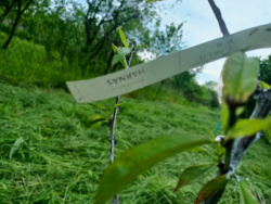 40c44eb9-04d1-496e-8614-61acabb696c8