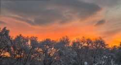 1a1373f2-7053-461d-be8f-9e5ee0bb31fa