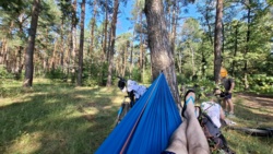 eb1f556e-ac39-4d84-a981-983517299943