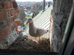 ee356451-e93a-4989-baeb-57871de6e6d6