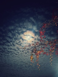 53f54fe2-367d-48d8-a615-1b69aa257158