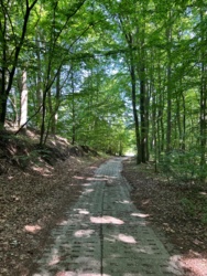 767703cc-78d8-4d1f-9734-70c248dd4313