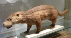 8323431d-1e31-4a25-9c58-317b548cf379