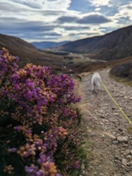 8fb0e0f4-b83a-4363-9a74-e558f4620ce9