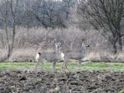 6d369f32-ff51-482d-bd46-89b1aafbfb2c