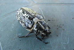 886e5230-af47-4a7a-b6aa-b5914ce095f7