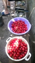 472371e2-be0c-4949-a0ec-3c0a4006675c