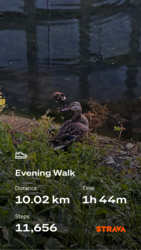 ce1c8fdf-6f67-4c84-a4f4-4f19a95e0d2d