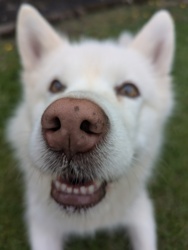 4f6312b5-8bd7-479c-9e82-79f413b03553