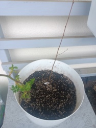 c0b3bee2-e52a-4991-b5bc-312359fc7c4f