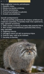 fdc4c50f-f5c2-47ec-a631-d0996d5ed018