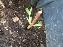 f70220b9-653e-4b79-9385-c8ebfece7443