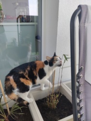 4fd76043-b9bc-4538-89d7-f2a3d04bc6ff