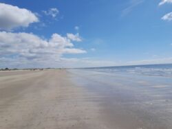 954963d8-3284-43fd-b649-ba9f8c9537c9