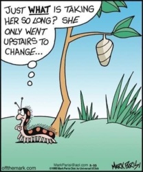 e8353879-a1ba-41cf-bb1e-02cb5222f0ab