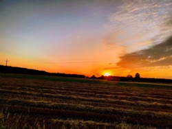 be6c6b9c-1bbb-49e5-b401-e39dd576d697