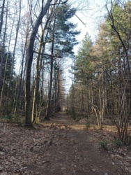 e498c153-3a6e-43cd-b1cf-6b6e6fc96eff