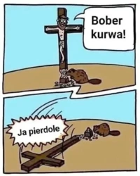 5302859c-648d-45c7-971c-01a1ba87c314