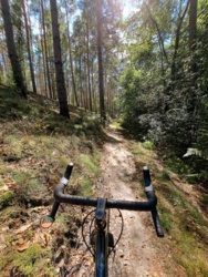 4afa9694-36be-46d1-bcb0-577b8b8ebc34