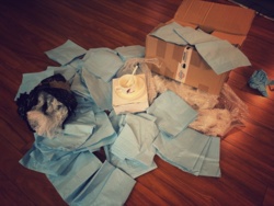 53d4e0eb-0299-4de3-8687-2559641975c3