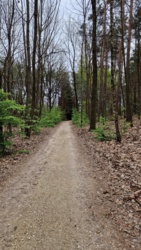 fa79f44b-6d1a-42e6-8459-d5d20bc28685