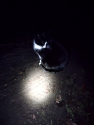 ff27f8e1-bc59-4222-bef4-7e08d6cf381f