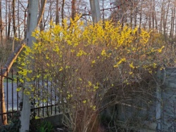 4f1b3186-436f-422f-a97b-9a9e9ac2f814