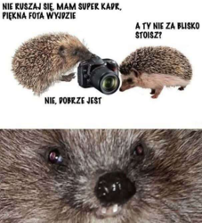 ccdb2f3e-60a6-4111-8ff3-8c66a238d3a0