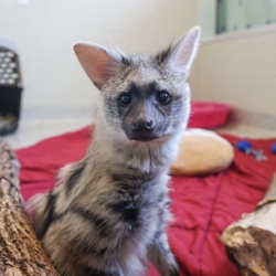 c754367f-9057-49f7-b581-5af47dbead42