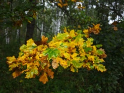 39d79d8e-c253-4ffc-ab97-ed865b316ff9