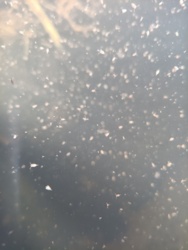 1d80e772-090d-4e8a-9427-e0946def1a93