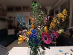 1cc746ec-4856-4def-8bba-81deb1a698d4